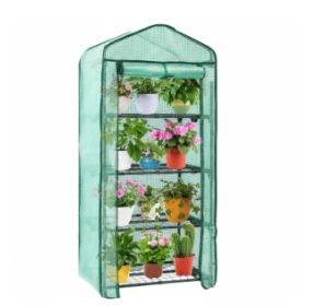 Outdoor And Indoor Small Greenhouses (Option: 30GN)